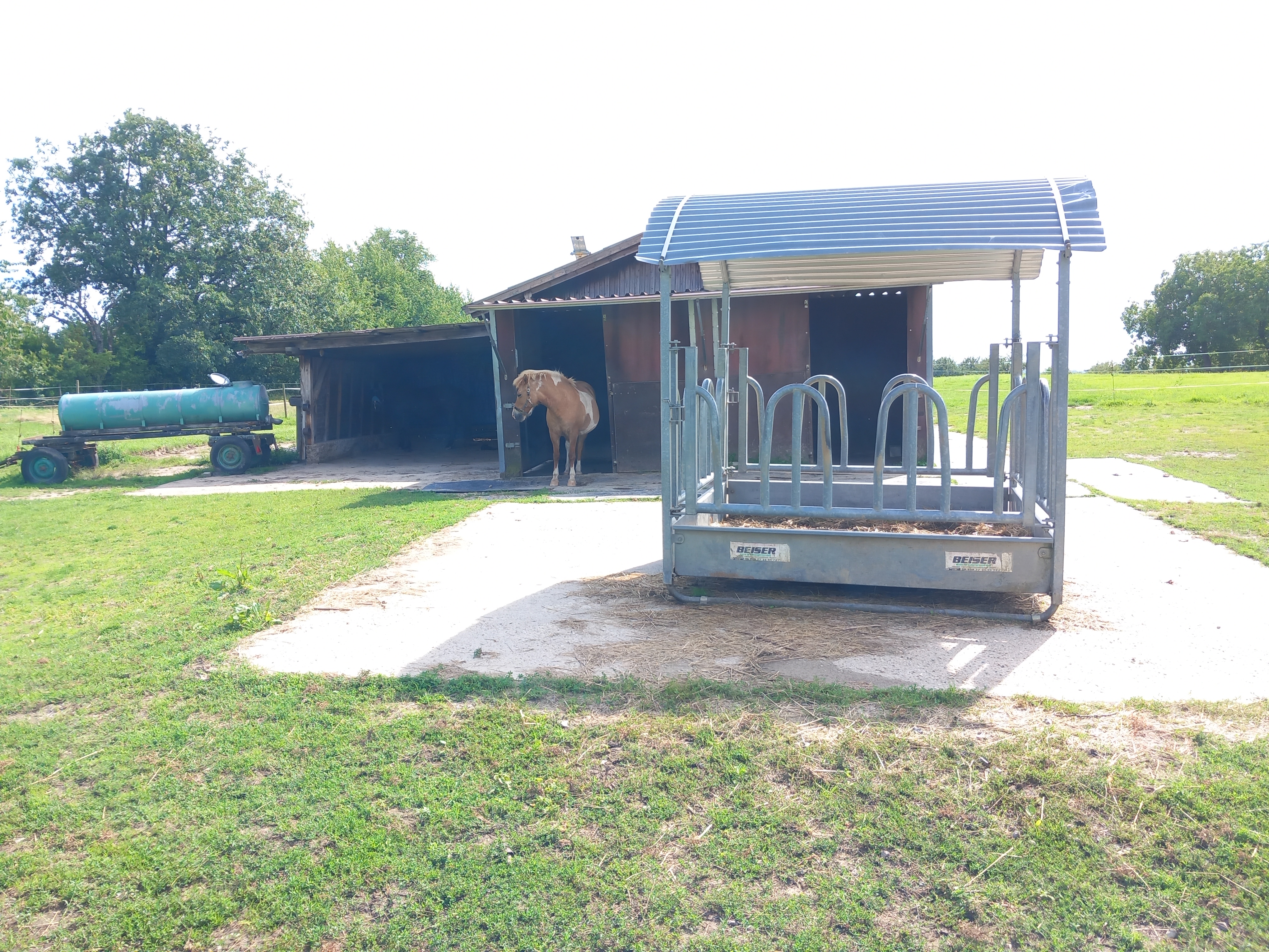 Offenstall beim Reitplatz